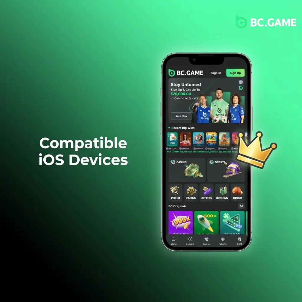 BC Game iOS app compatible devices including iPhone X to 15 series and iPad Air and iPad Pro models